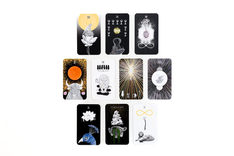 The Sacred Web Tarot Cards Deck & Guidebook Harper One By Jannie Bui Brown NEW