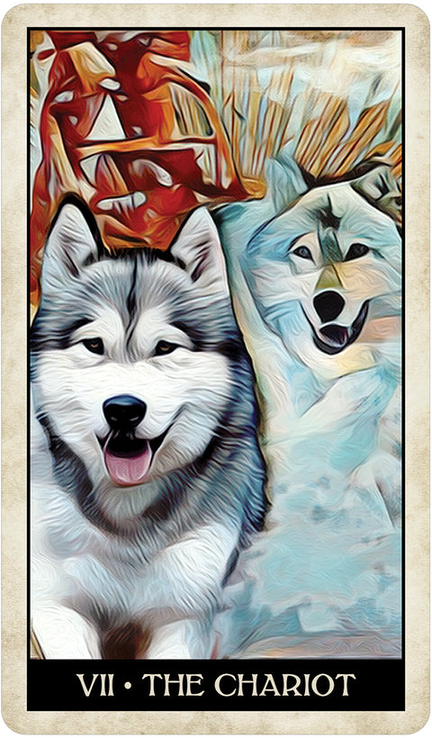 Wise Dog Tarot Cards Deck US Games Systems Mj Cullinane Esoteric 2020 NEW
