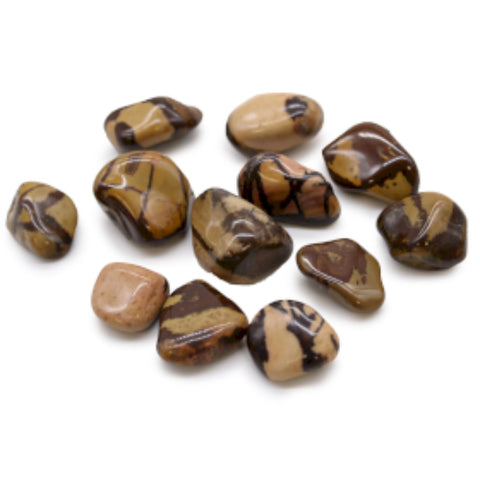 12 Medium African Tumble Stones Picture Nguni Gemstones Ancient Wisdom NEW