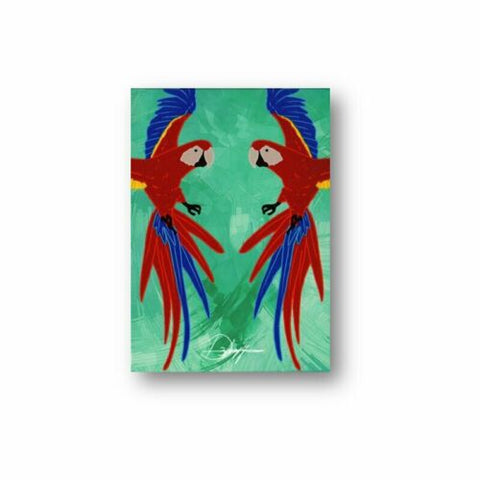 Infinity Playing Cards Deck Difatta D3Psy USpcc Magic Tricks Poker Parrot NEW