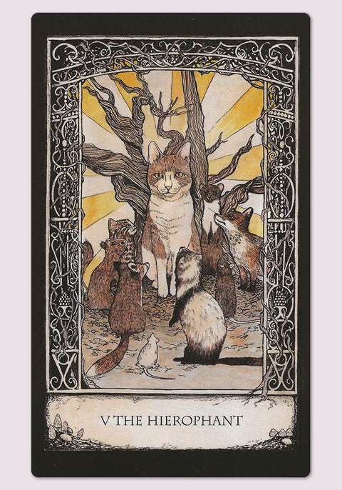 Tarot Of Tales: A Folk-Tale Inspired Cards Deck Boxed Set Cico Books Ccp28