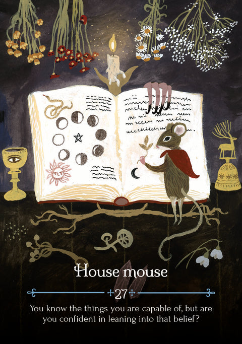 Seasons of the Witch Imbolc Oracle Cards Rockpool