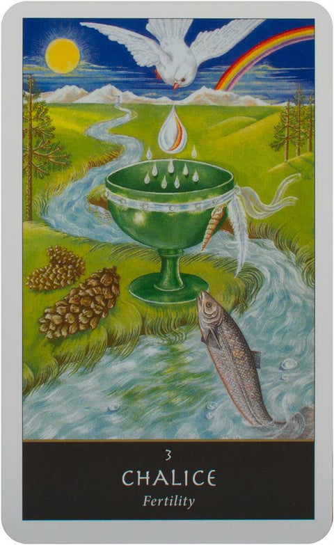 The Witches Oracle Cards Deck Welbeck Publishing Esoteric Sally Morningstar Oh!