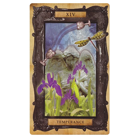 The Victorian Steampunk Tarot Cards & Illustrated Book Cico Books Liz Dean
