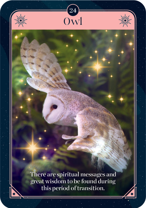 Fortune Oracle Cards Rockpool