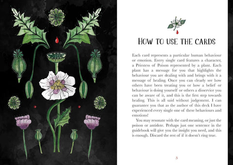 Deadly Apothecary Oracle Card Deck Healing Rockpool By Priestess Moon Rp178