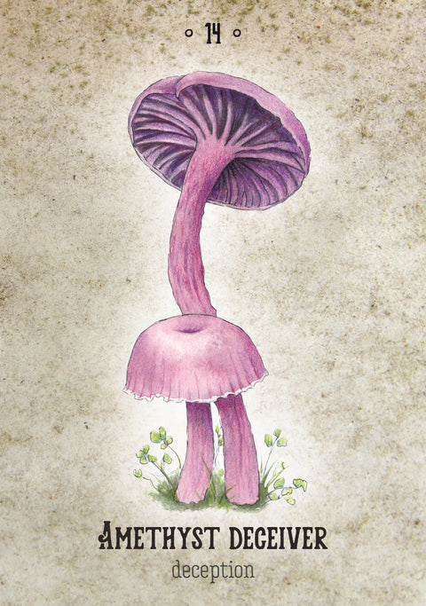 Mushroom Spirit Oracle Cards – Nature Magic & Fungi Wisdom Divination Deck