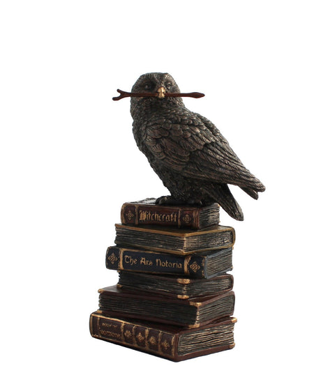 Owl on Books with Wand Bronze Resin Statue 14cm Handcrafted Made in Italy