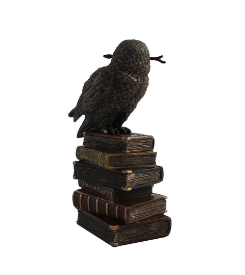 Owl on Books with Wand Bronze Resin Statue 14cm Handcrafted Made in Italy
