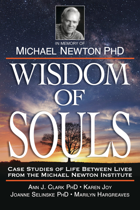 Wisdom Of Souls Book In Memory Of M. NEWton Phd Case Studies Llewellyn NEW