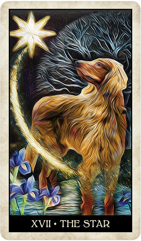 Wise Dog Tarot Cards Deck US Games Systems Mj Cullinane Esoteric 2020 NEW