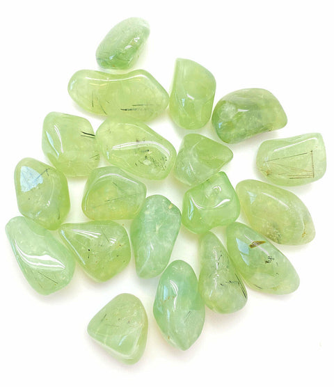 24 Large Tumble Stones - Prehnite A Grade Gemstones Talisman Ancient Wisdom NEW