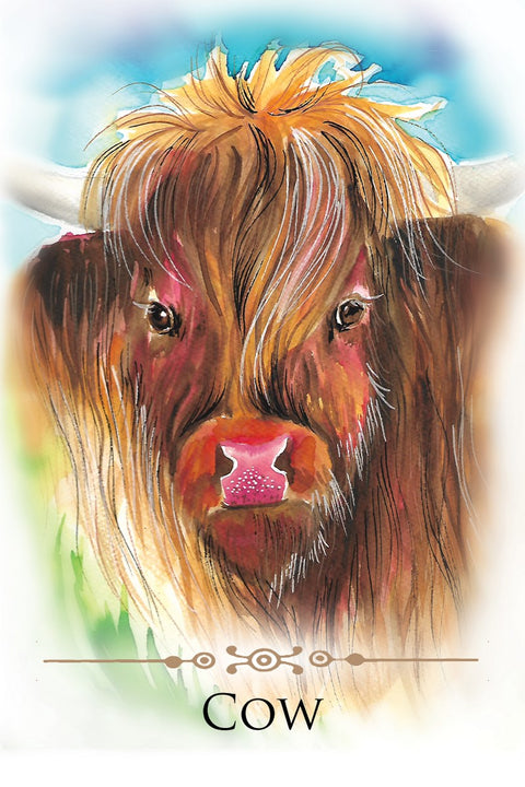 Spirit Animals Message Cards Deck Animal Dreaming Publishing Affirmations NEW