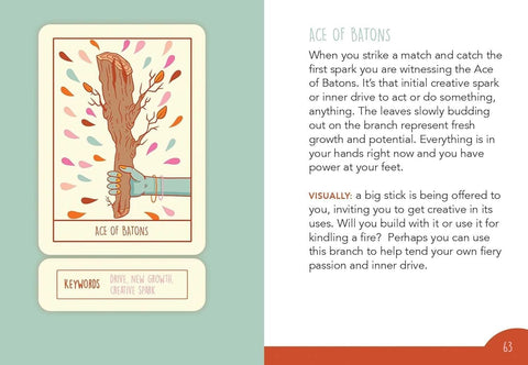 Squid Cake Marseille Tarot Card Deck Rockpool Publishing By Jessica Rollar RP152