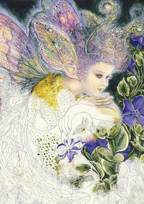 Enchnated Fairies Coloring Book Blue Angel