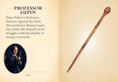 Harry Potter: The Mini Book of Wands Insight Editions