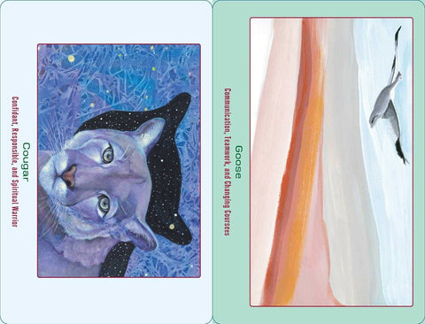 Animal Oracle Cards – Loving Messages for Insight, Comfort & Healing With Bag