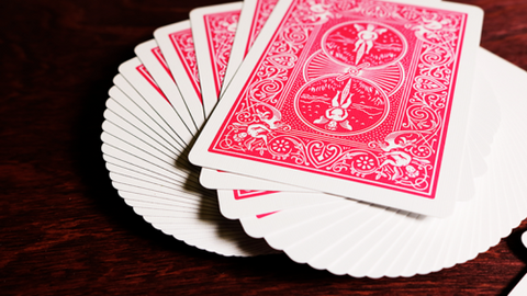4 Bicycle Fuchsia Pink Rider Back Standard Playing Cards Deck Magic USa NEW