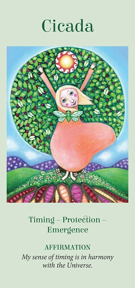 Wings Of Wisdom Oracle Cards Deck Fairchild Longhurst Blue Angel With Bag