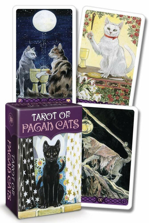 Tarot Of Pagan Cats Mini Deck Cards Magdelina Messina Lo Scarabeo With Bag NEW