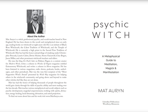 Psychic Witch Metaphysical Meditation Magick Manifestation Book Llewellyn NEW