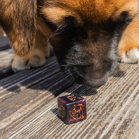 Dogs Dice Set: Luna Modern Black Dog Lovers Role Playing Games Q-Workshop NEW