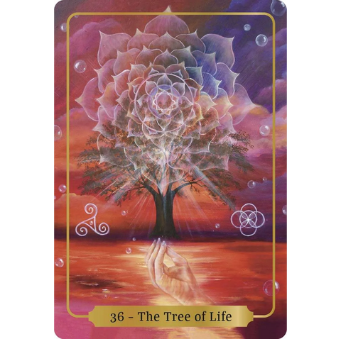 Sacred Blessings Oracle Cards Eveningstar Animal Dreaming Publishing Ad17