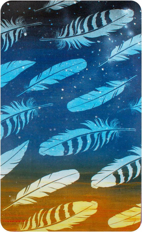 Bird Messages Cards Deck And Book Cico Books Esoteric Susie Green Fortune NEW