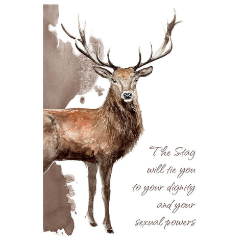 Power Animals Cards Deck Spirit Guides For Your Spiritual Life Esoteric Agm NEW