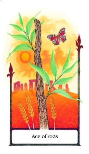 Tarot Of The Old Path Cards Set Agm Howard Rodway Sylvia Gainsford 78 Cards NEW