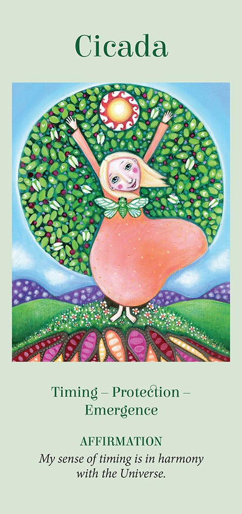 Wings Of Wisdom Oracle Cards Deck Alana Fairchild Longhurst Blue Angel