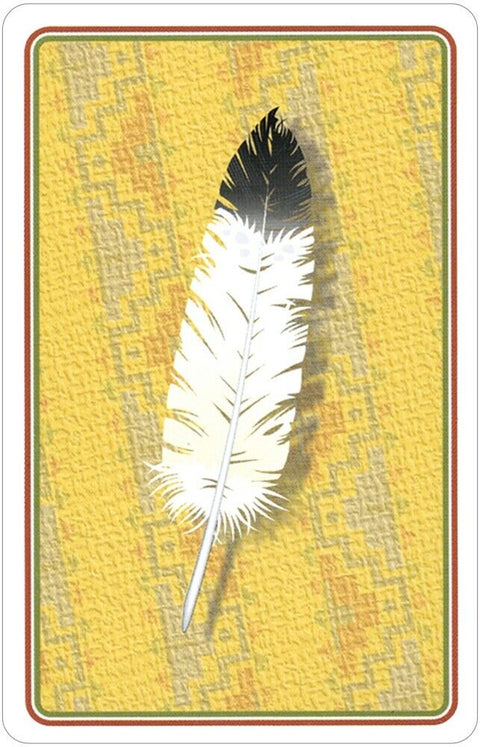 Indian Chiefs Of The Old West Game & Playing Cards US Games Magic Tricks NEW