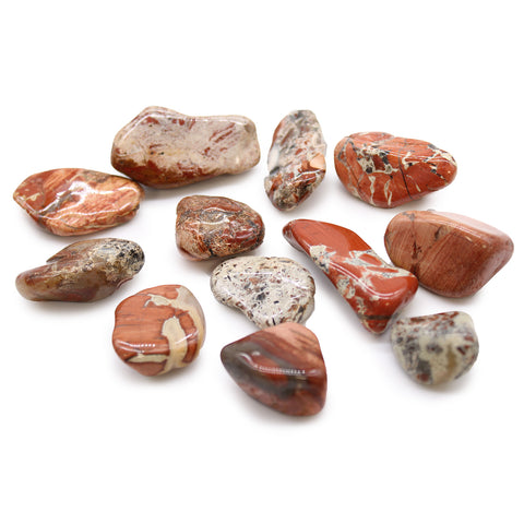 12 Medium African Tumble Stones Light Jasper Brecciated Gemstones Anc Wisdom NEW
