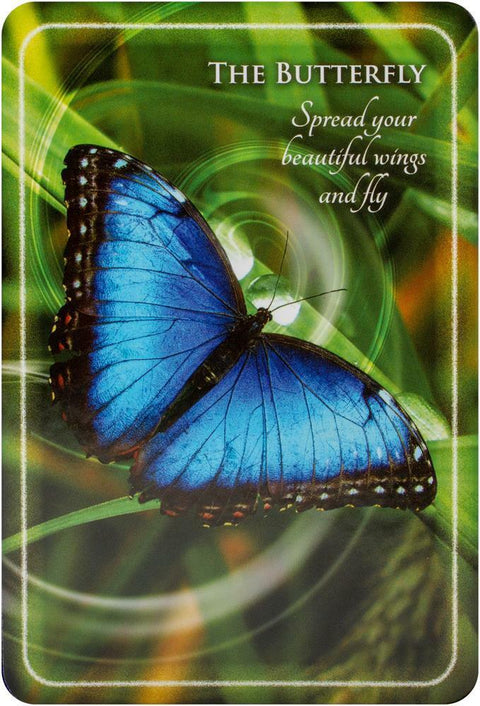 Animal Whispers Empowerment Cards Deck Esoteric Madeleine Walker Findhorn Fhp05