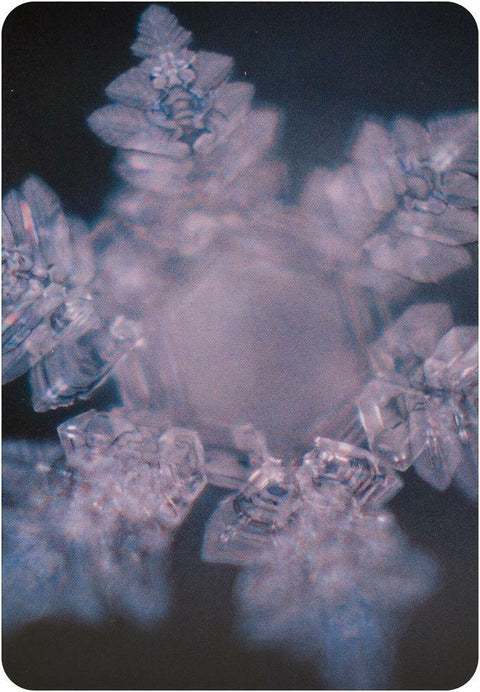 Water Crystal Oracle Cards Deck Beyond Words Esoteric Emoto Snowflakes Water NEW