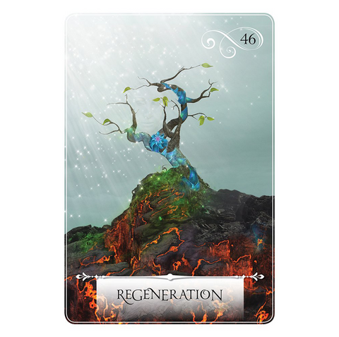 Wisdom Of The Oracle Divination Cards Deck By Colette Baron-Reid