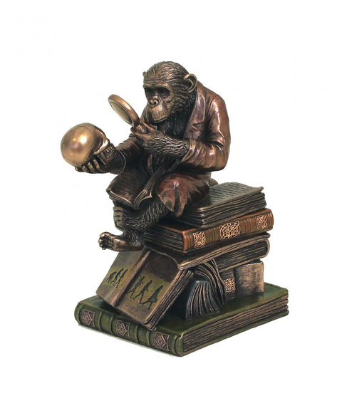 Italfama Monkey Evolution Bronze Resin Statue 17cm Italian Home Decor