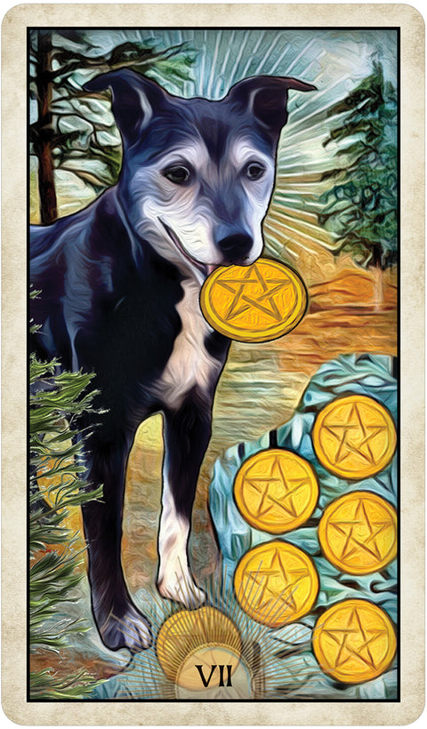 Wise Dog Tarot Cards Deck US Games Systems Mj Cullinane Esoteric 2020 NEW