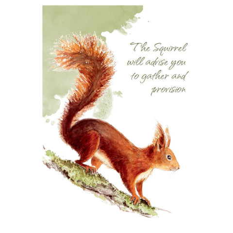 Power Animals Cards Deck Spirit Guides For Your Spiritual Life Esoteric Agm NEW