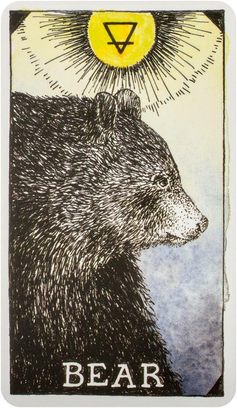 Wild Unknown Animal Spirit Cards Deck And Guidebook Esoteric Harper One Hpo02