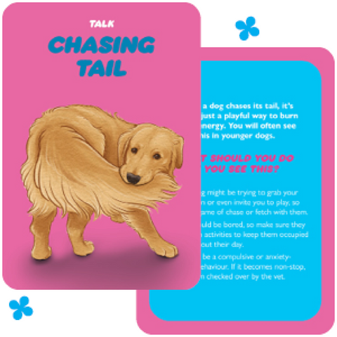 Dog Speak cards Rockpool