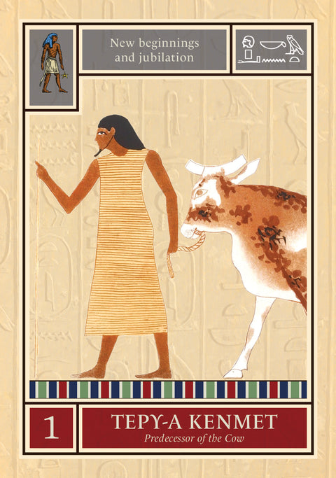 Egyptian Star Oracle Cards Deck Rockpool Publishing Travis Mchenry Astrology NEW