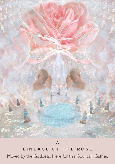 Rose Oracle Cards Deck And Guidebook Hay House By Rebecca Campbell Goddess NEW