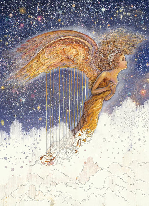 Enchnated Fairies Coloring Book Blue Angel