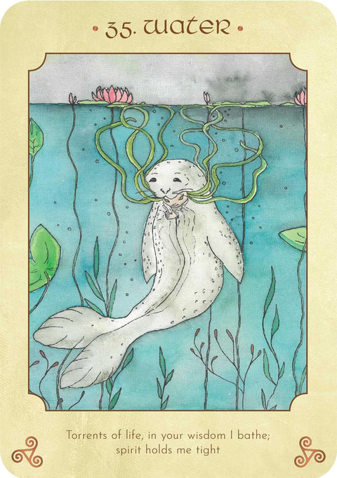 Anamchara Oracle Card Deck Soul Companion Rockpool By Saorsa Sionnach Rp185