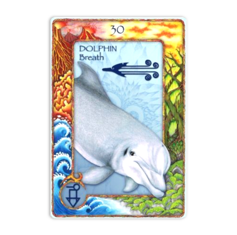 World Animal Dreaming Oracle Cards Deck Expanded Scott King Edition Esoteric NEW