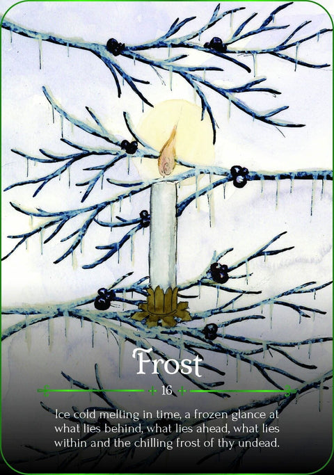 Seasons Of The Witch Yule Oracle Cards Deck Rockpool Publishing Anderson NEW
