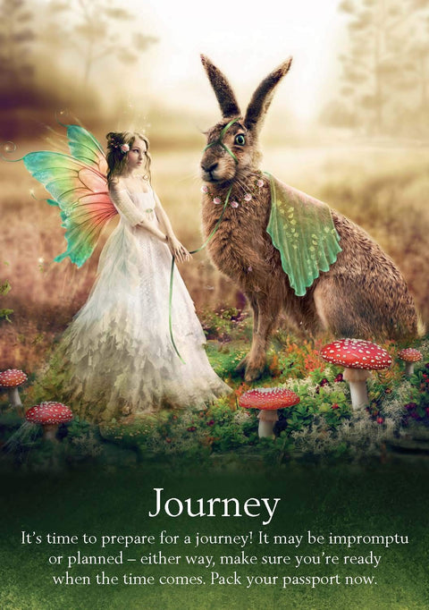 Oracle Of The Fairies Cards Deck And Guidebook Hay House By Karen Kay NEW