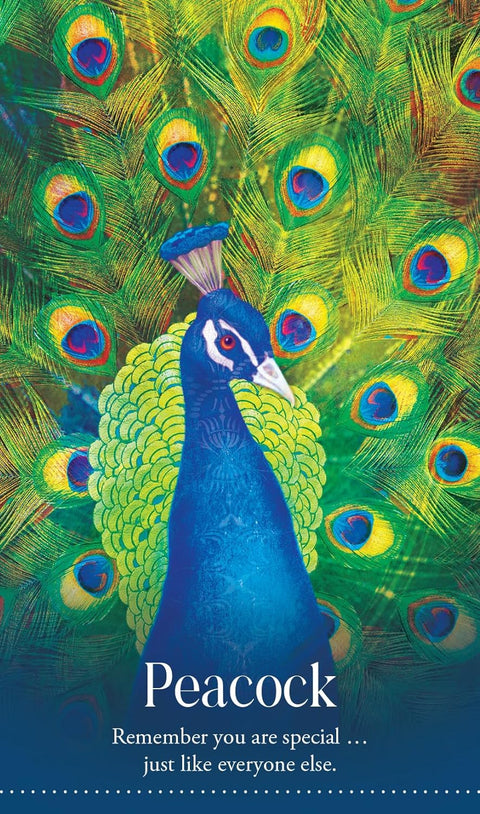Wild Dreams Animal Oracle – Spirit Animal Cards Deck & Guidebook