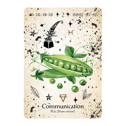 Green Witch Oracle Cards Deck Rockpool Esoteric Divination Cheralyn Darcey NEW